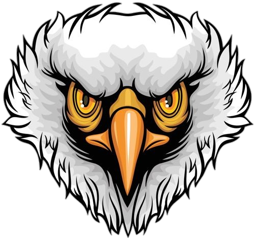 Eagle face png 