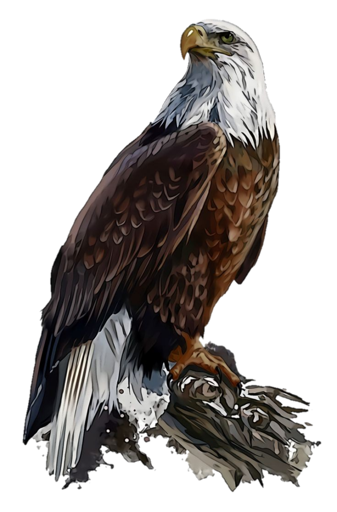 Standing Eagle Clipart Png