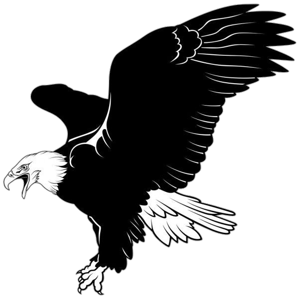 Black Eagle Vector Png