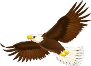 Eagle PNG Clip Art - Best WEB Clipart