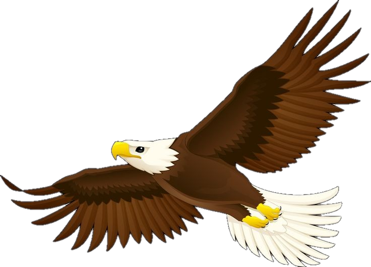 Eagle-5