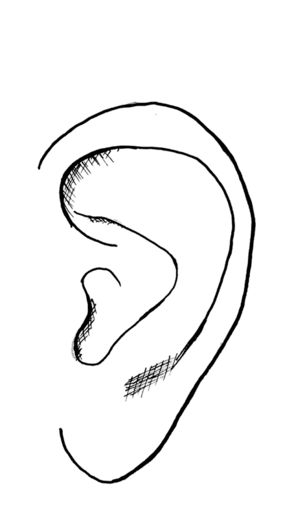 Human Ear Drawing Png
