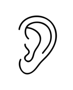 Ear-11