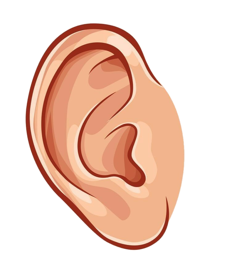 Human Ear clipart Png