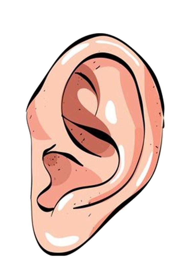 Ear-17