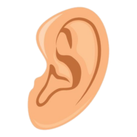 Ear png image