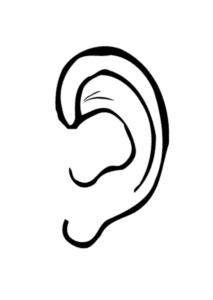 Ear-19