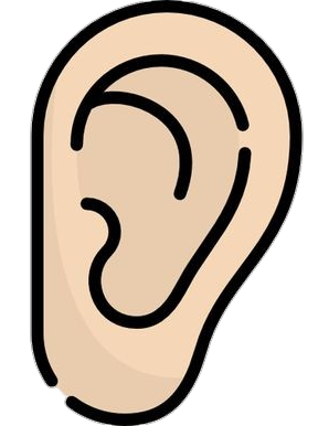 Human Ear Vector Png