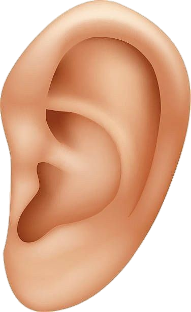 Human Ear Png Image