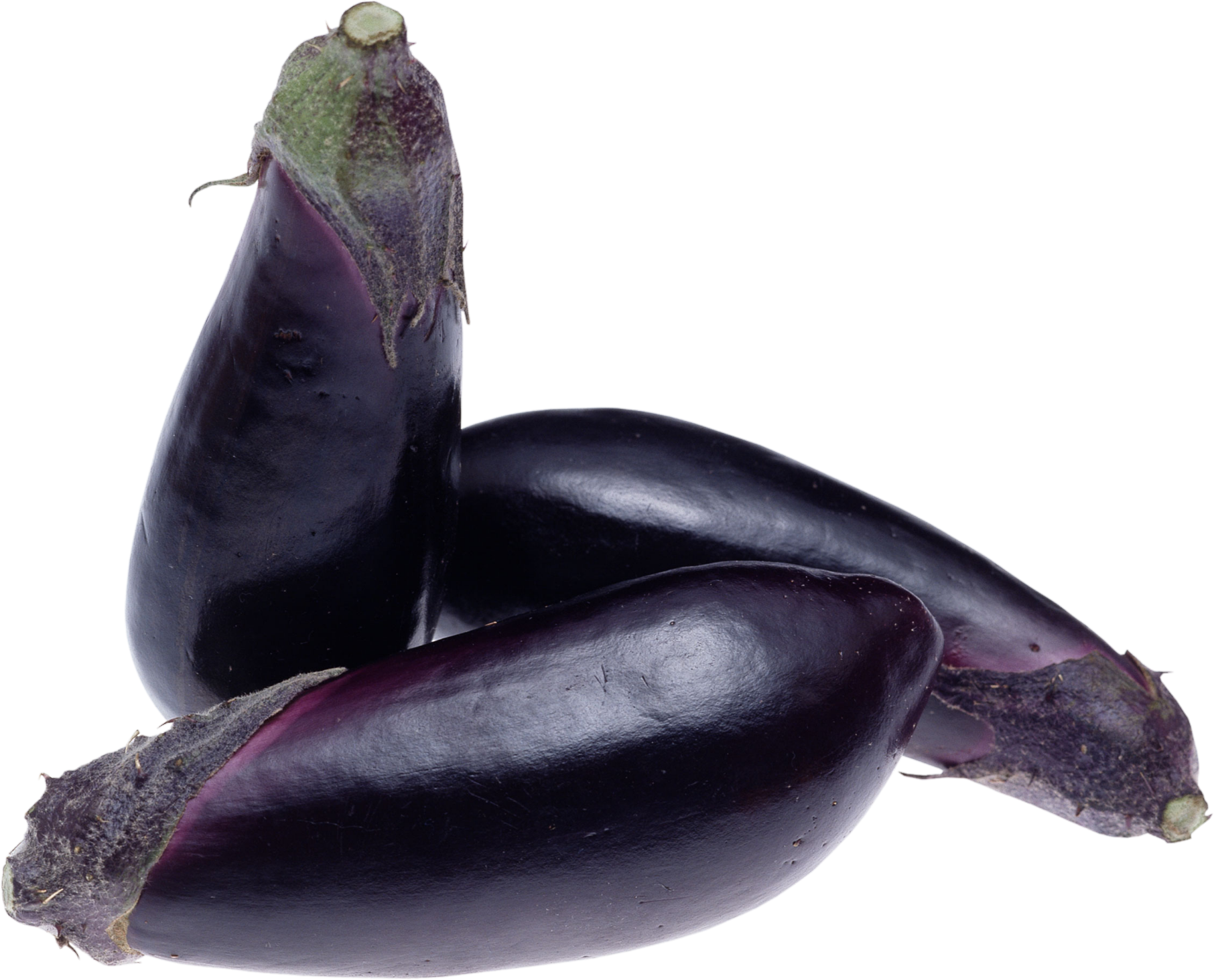 Eggplant-14