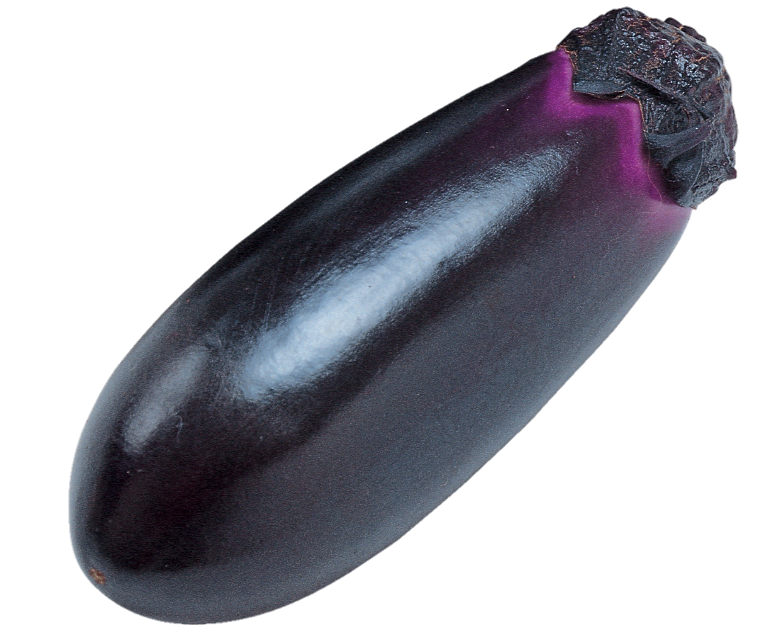 Eggplant-17