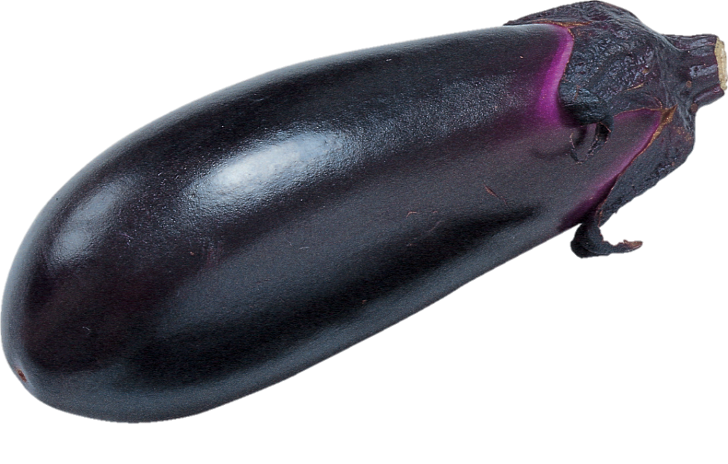 Single Eggplant Png