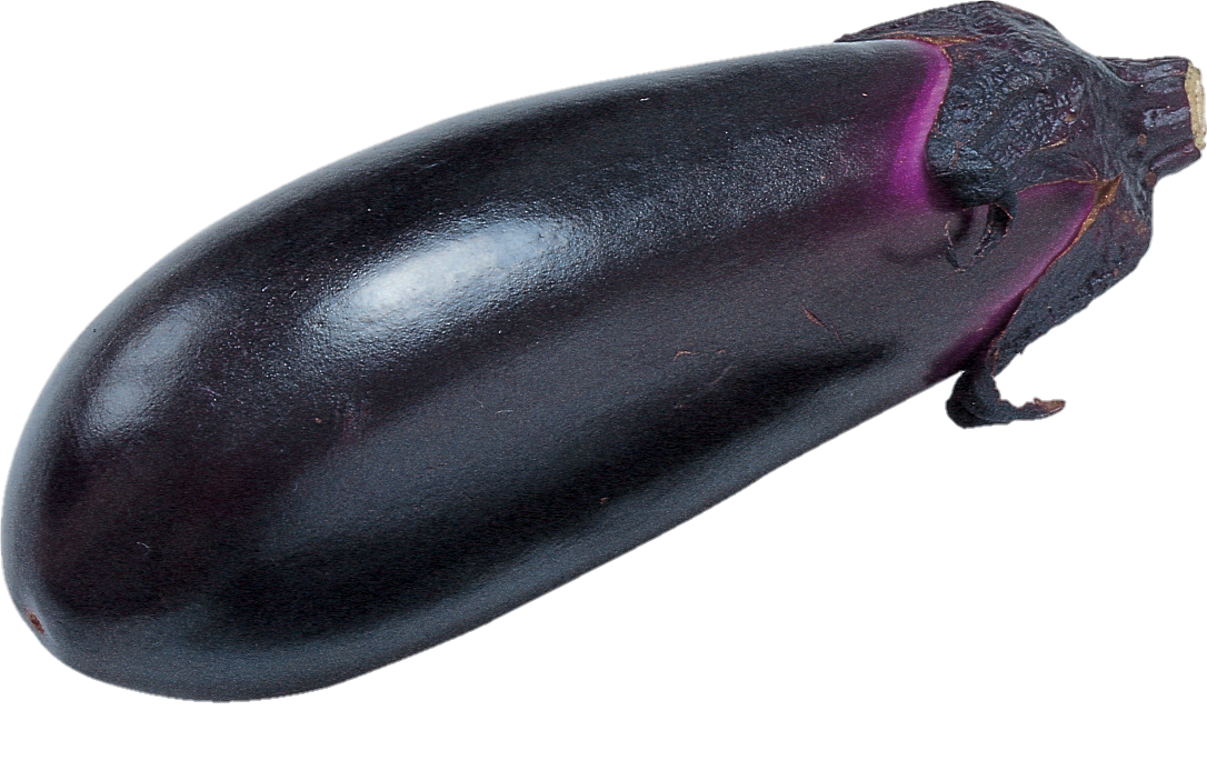 Eggplant-18