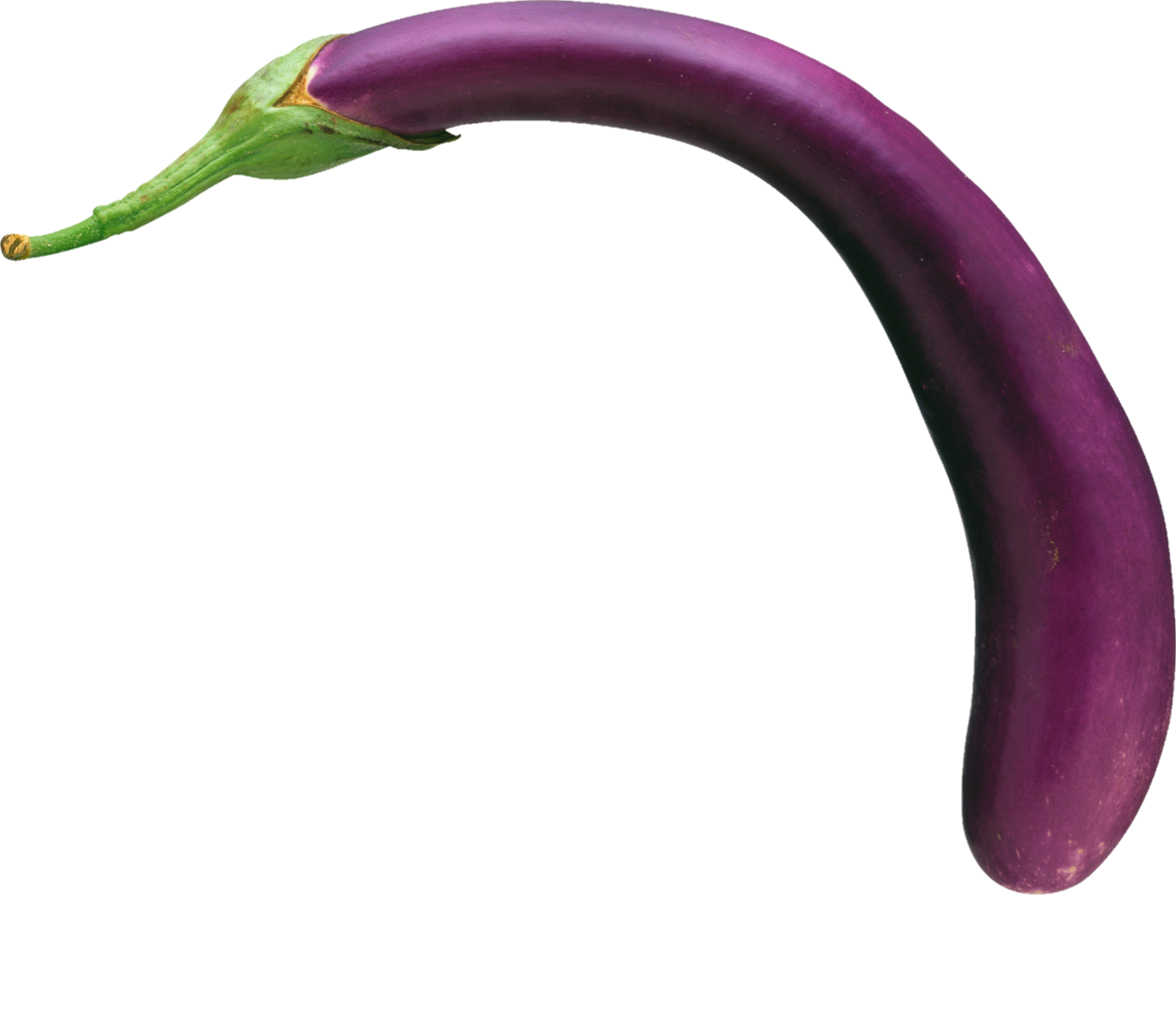 Eggplant-19