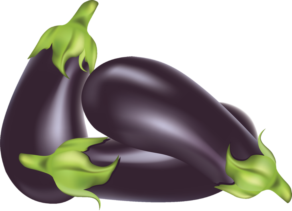 Eggplant Illustration png 