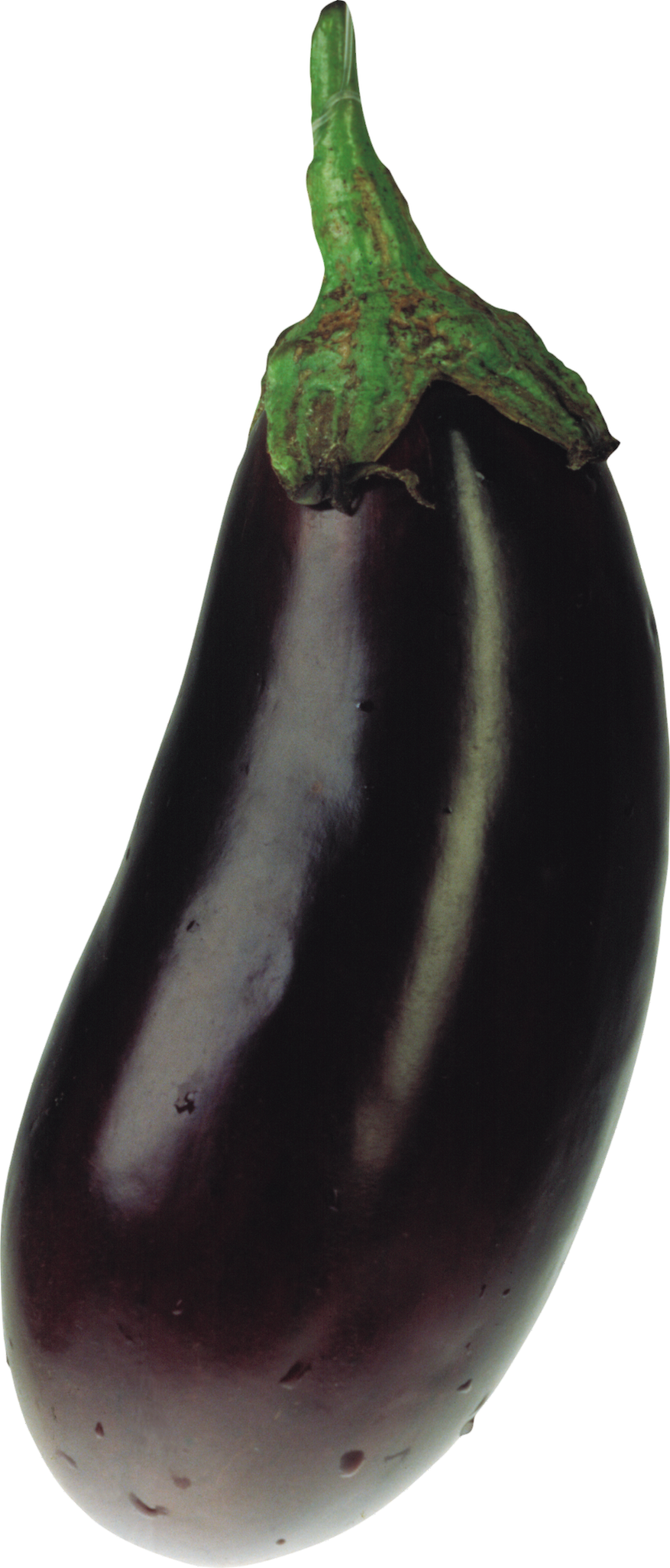 Eggplant-27-1