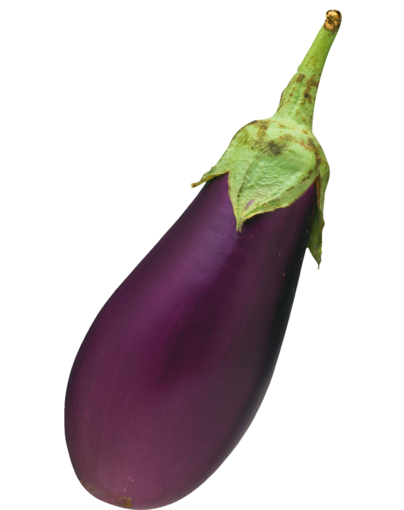Single Eggplant Png