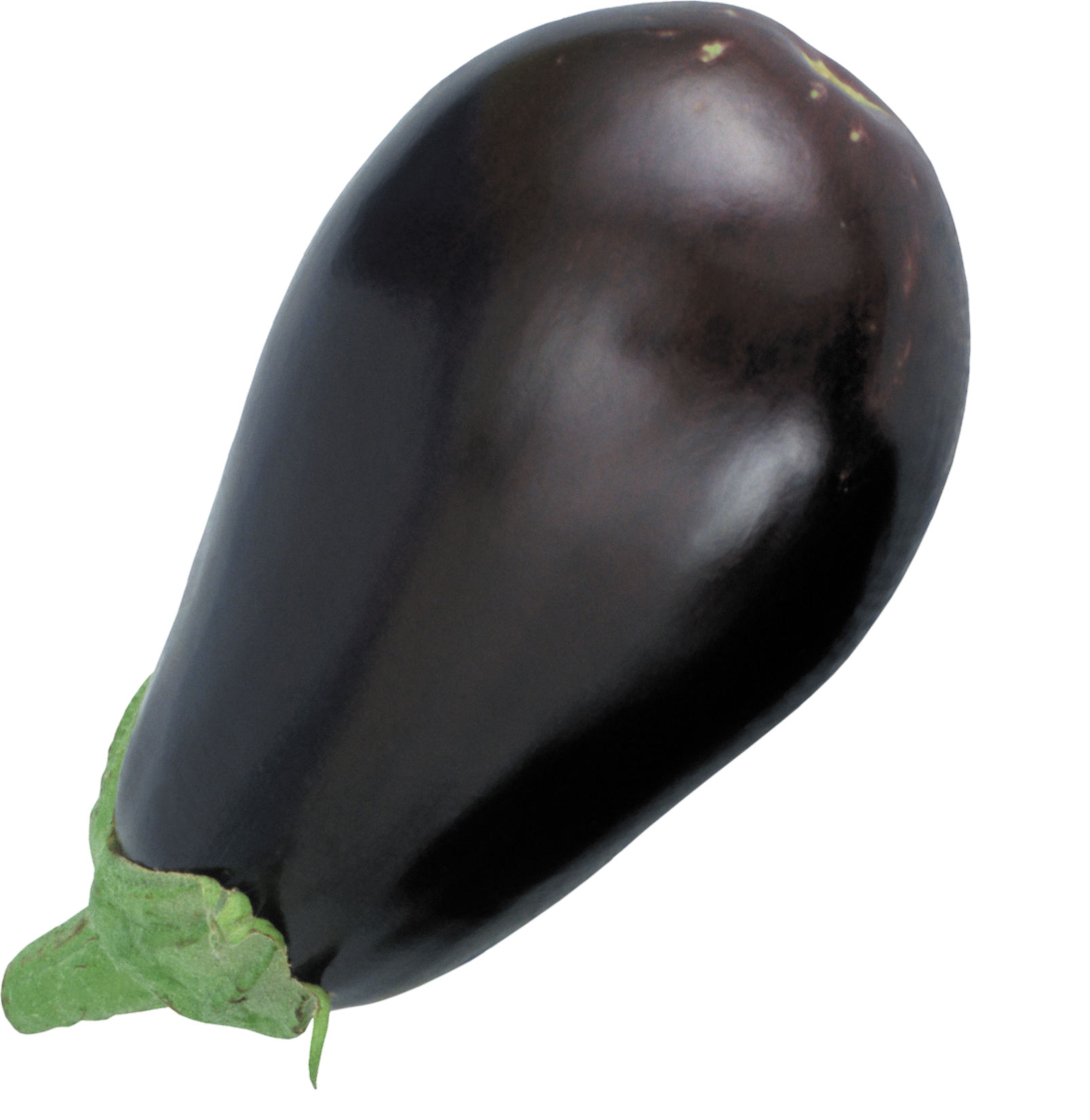Eggplant-7