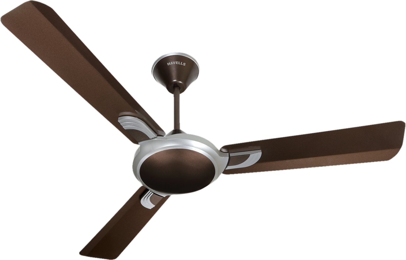 Fan-20