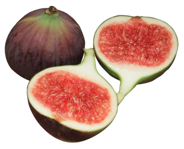 Fresh Fig png