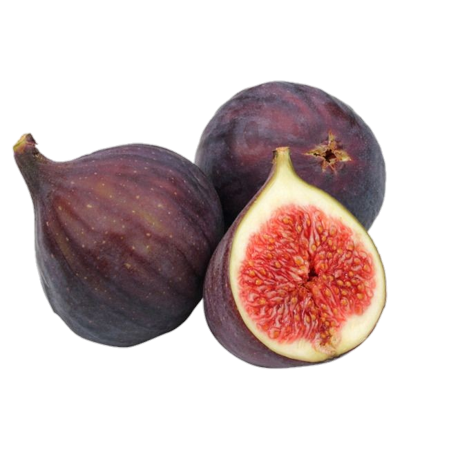 Figs Fruit png