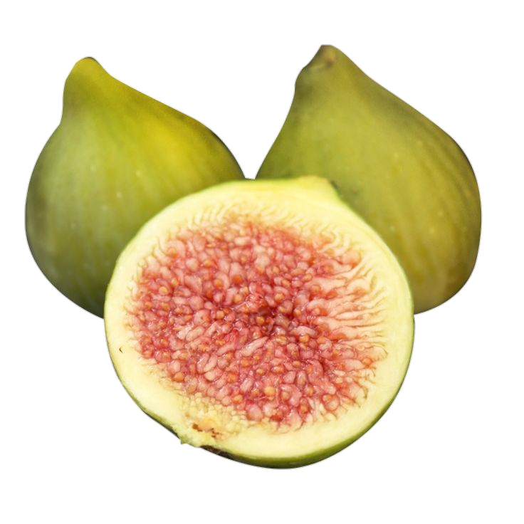 Green Fig png