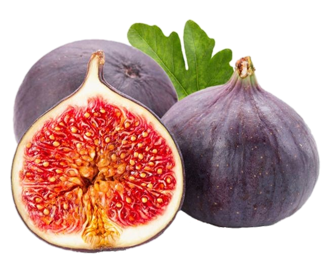 Fig Fruit png