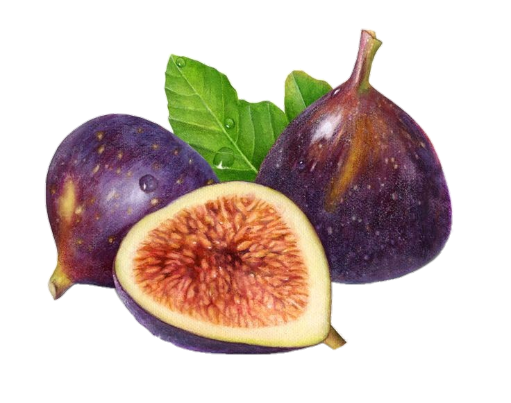 Aesthetic Fig png image