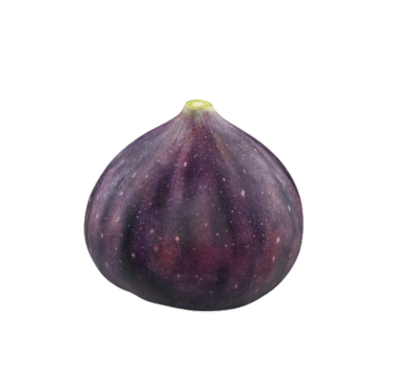 Single Fig png