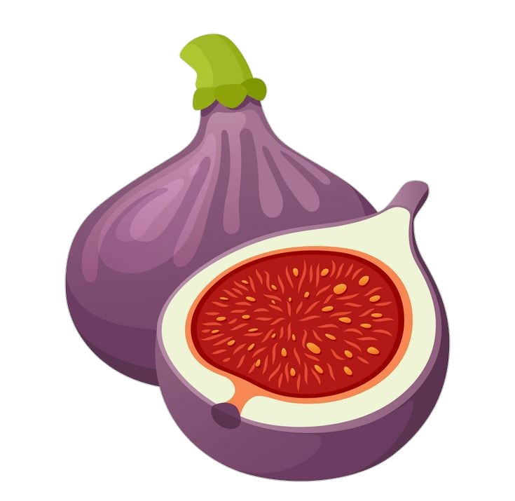 Fig Vector png
