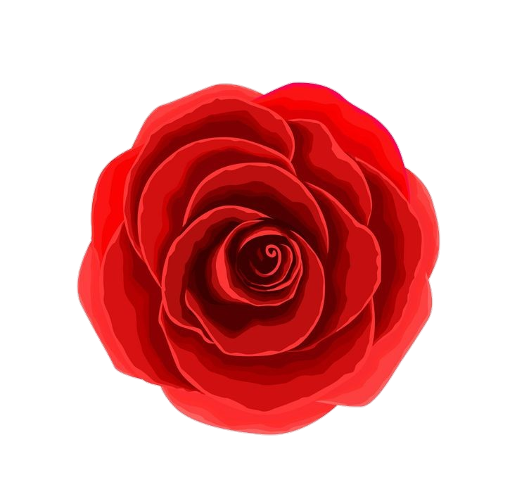 Red Rose Flower Art Png