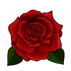 Red Rose Flower clipart Png