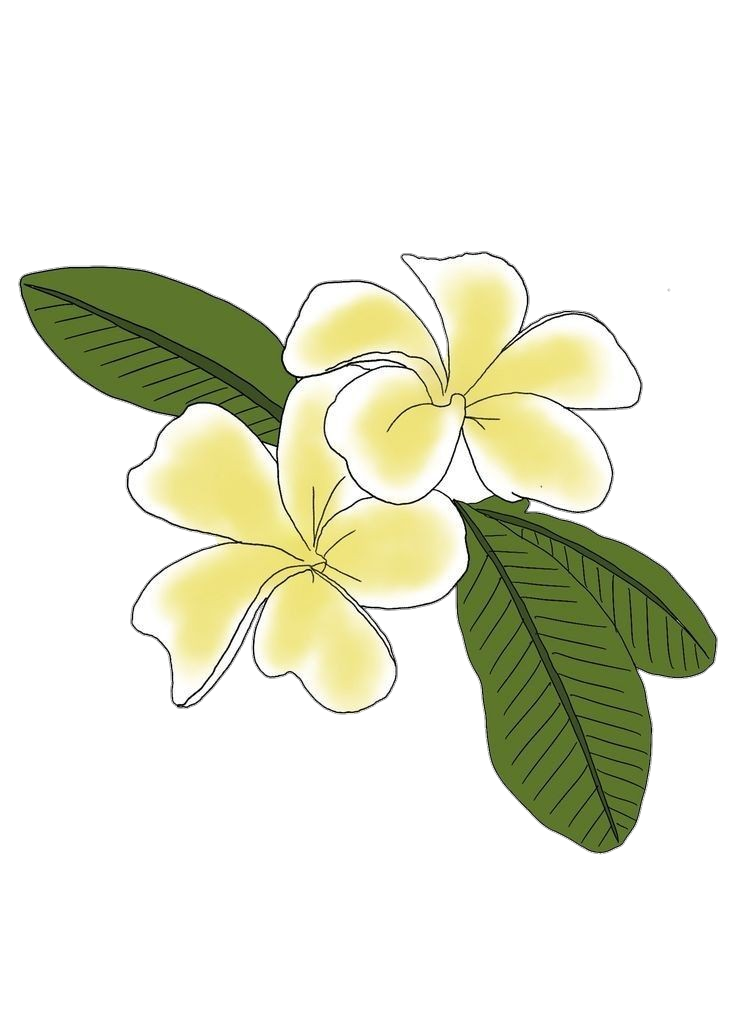 Frangipani-4