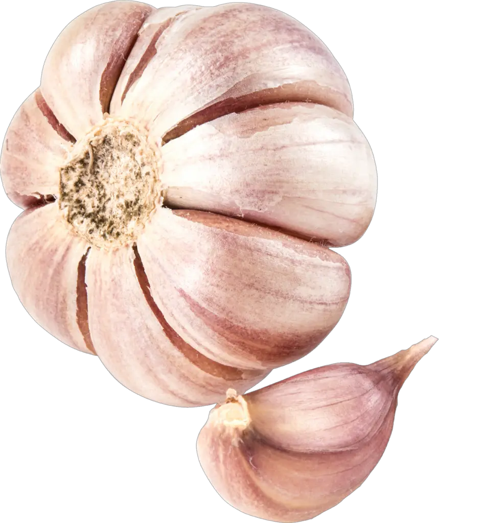 garlic png