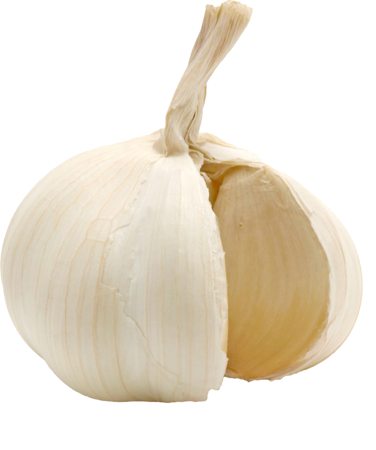 Garlic-11