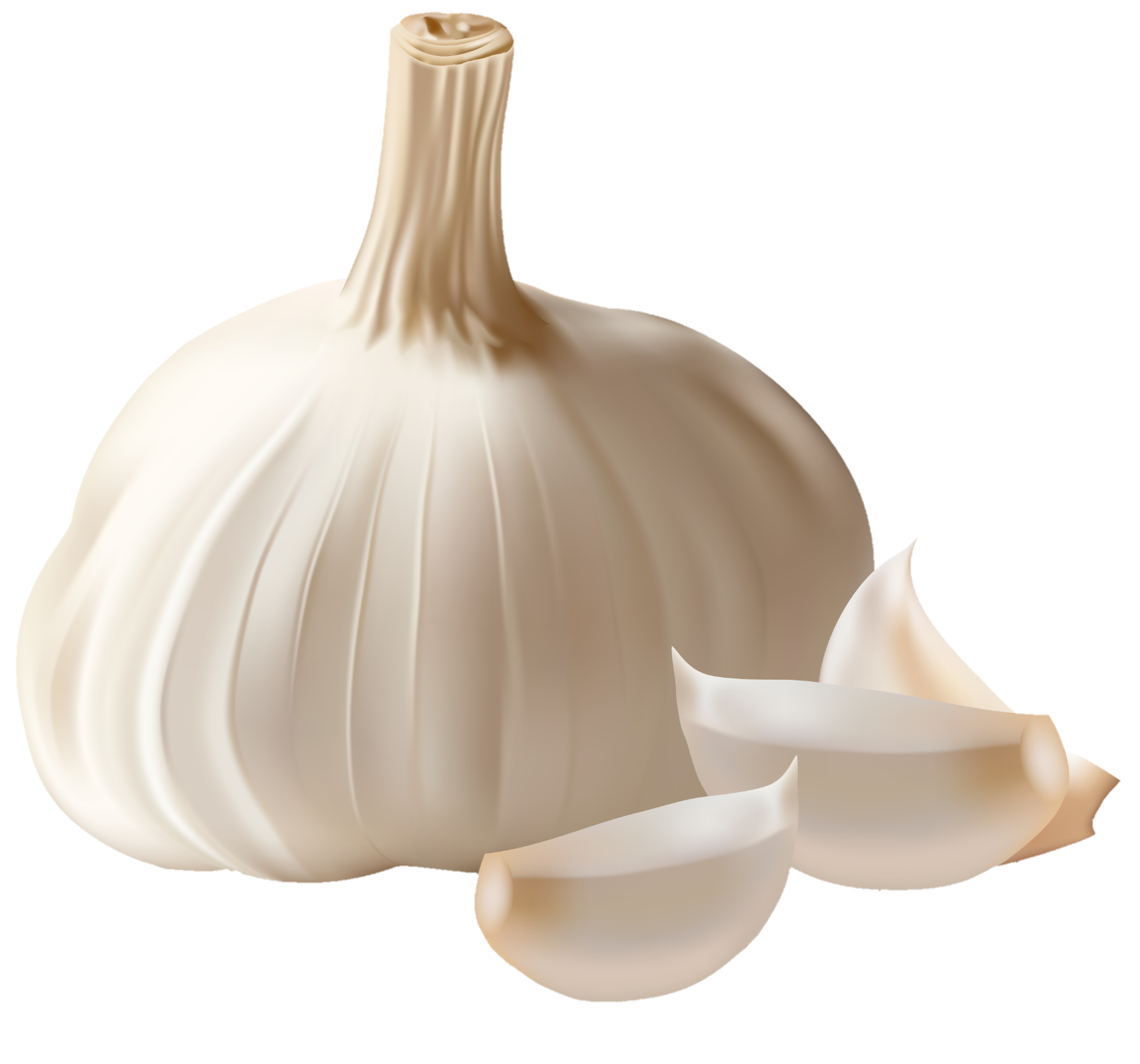 Garlic-12