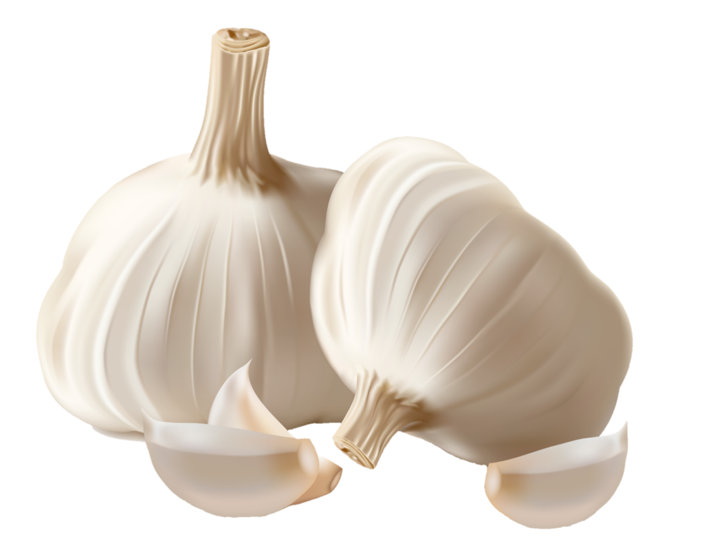 Animated Garlic Png