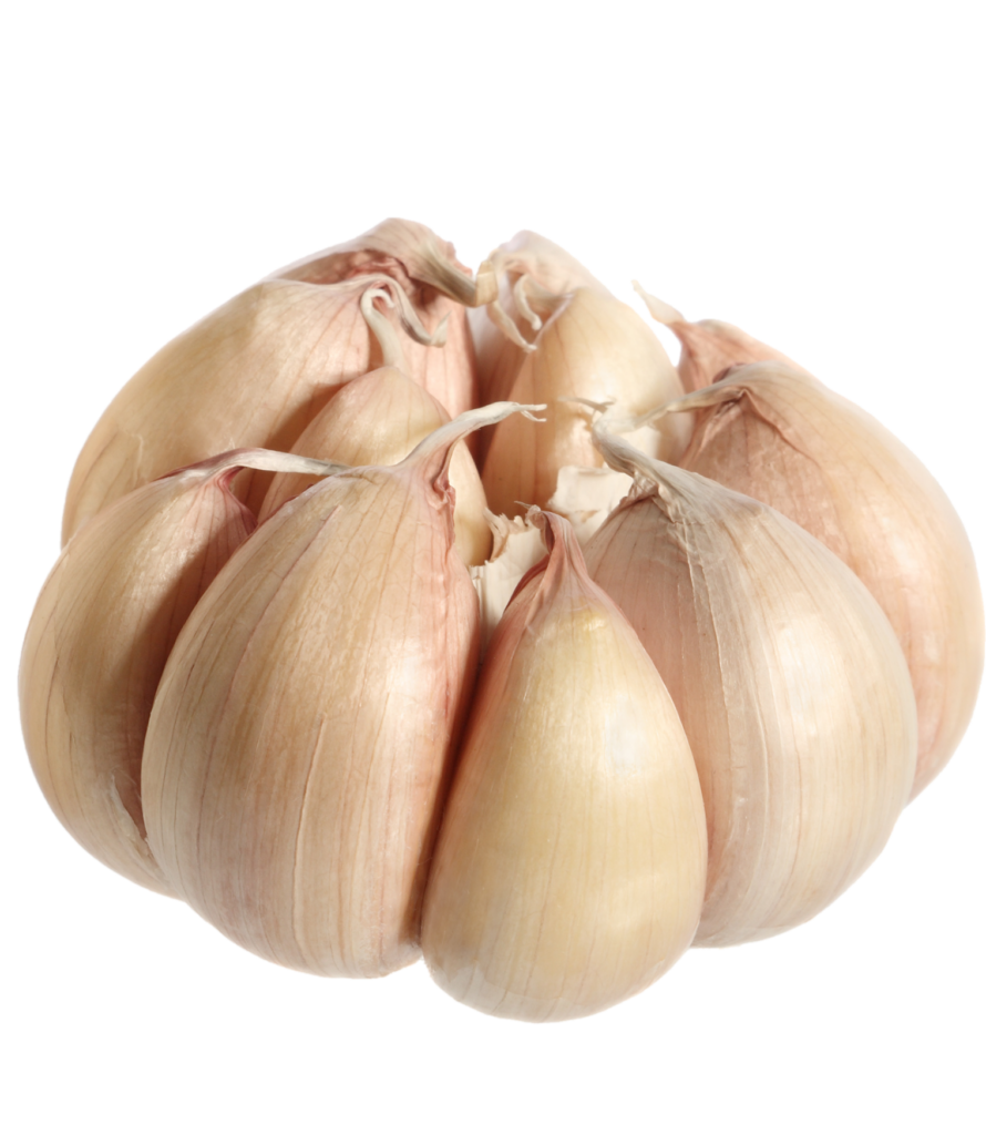 High Resolution Garlic Png