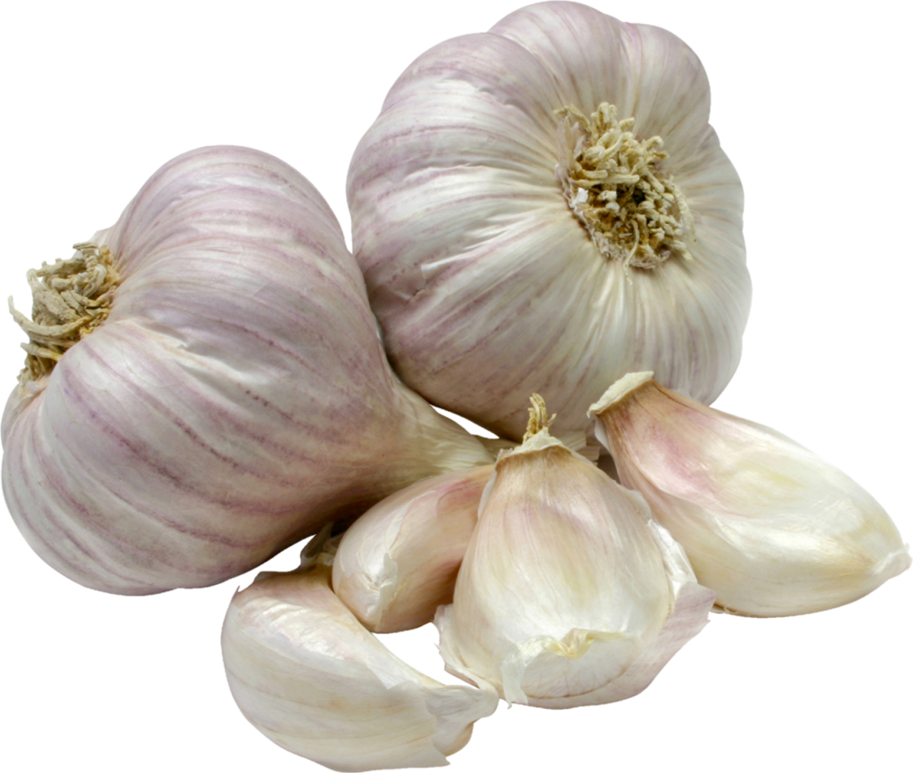 Garlic Vegetable Png