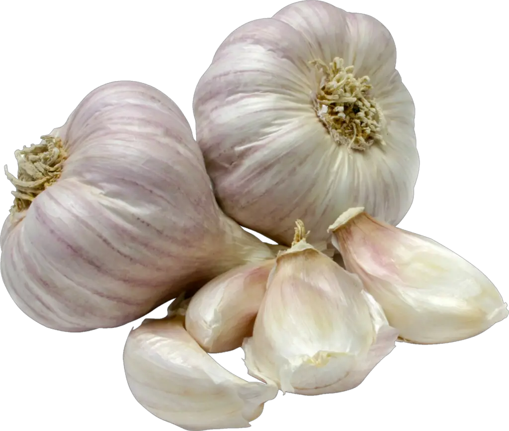 garlic png