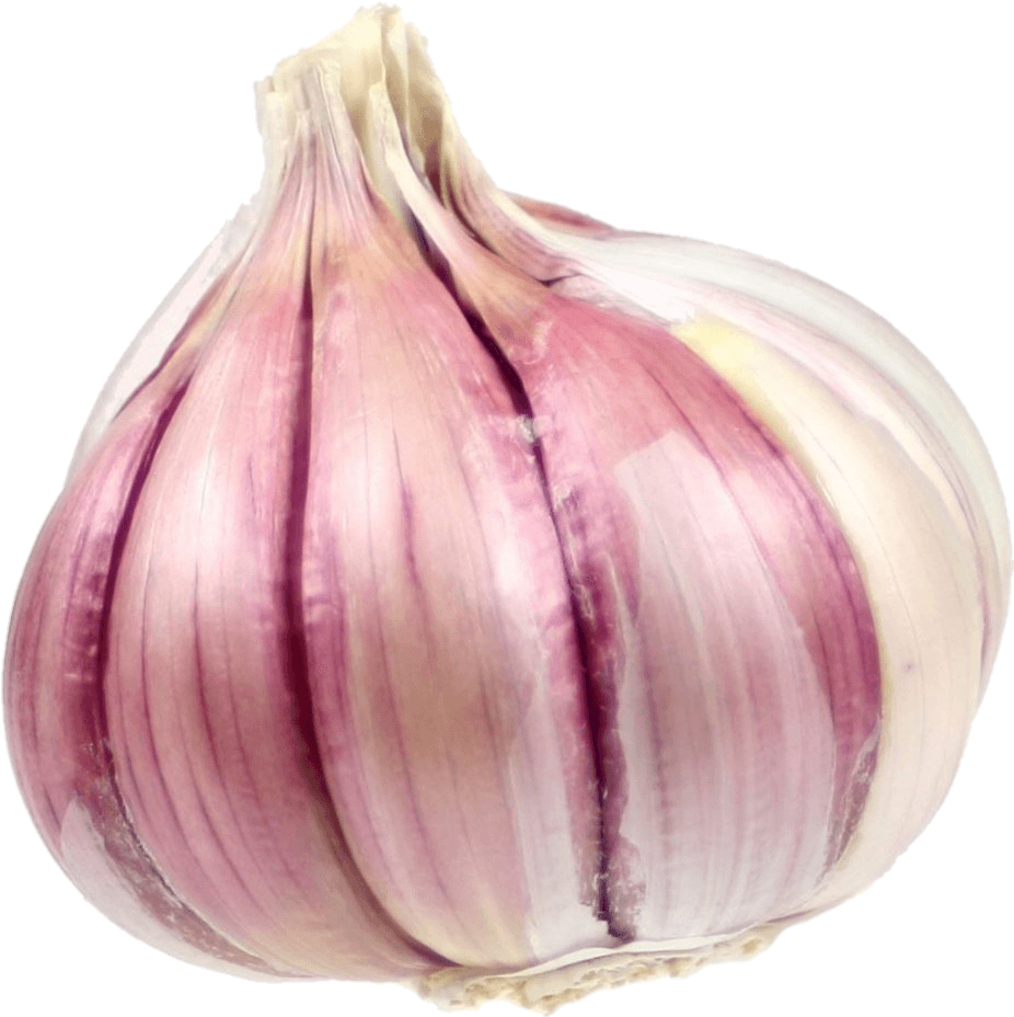 Garlic-25