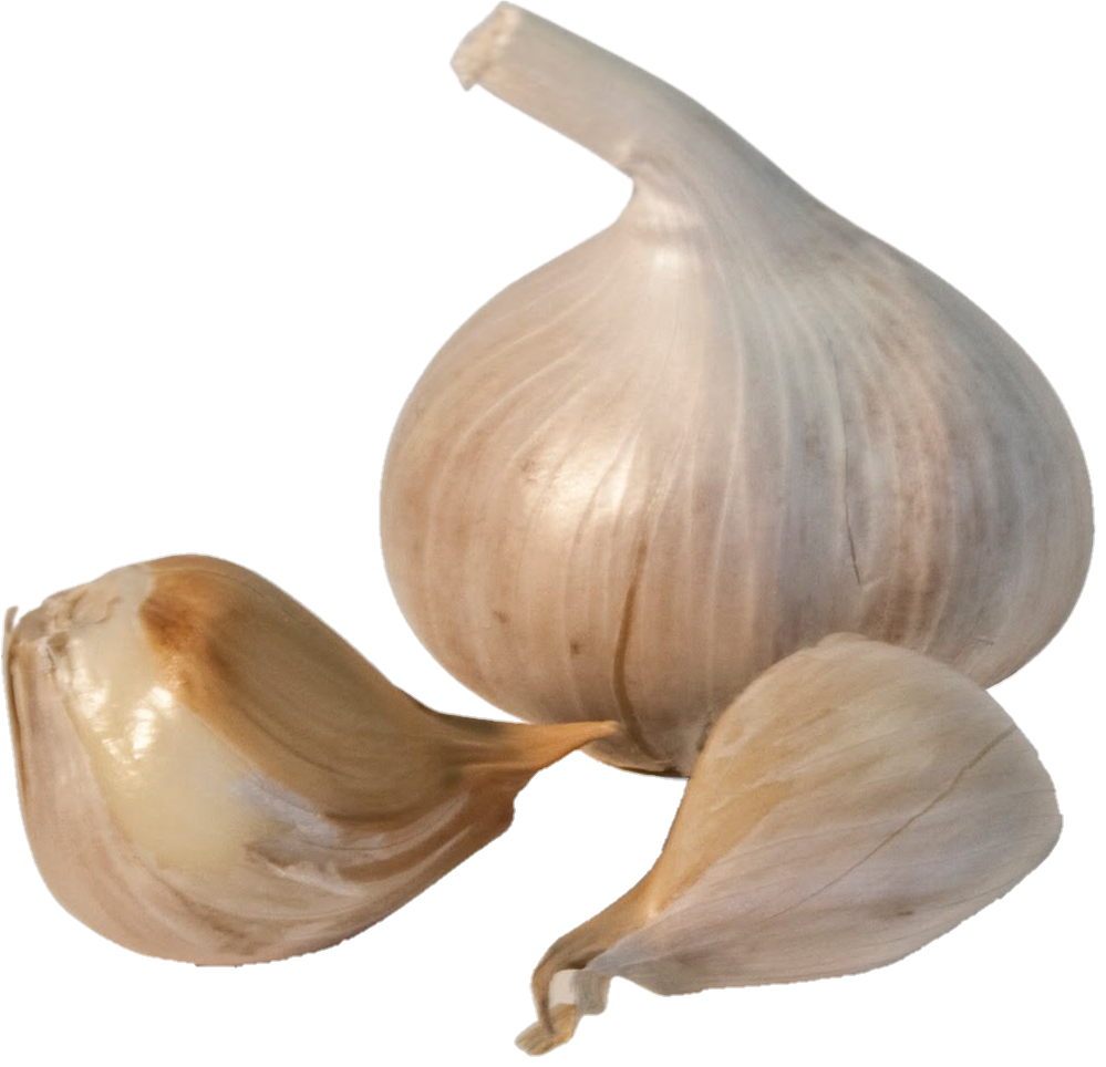 Garlic Vegetable png 