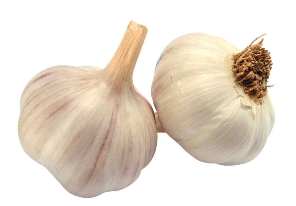 Garlic Vegetable png 