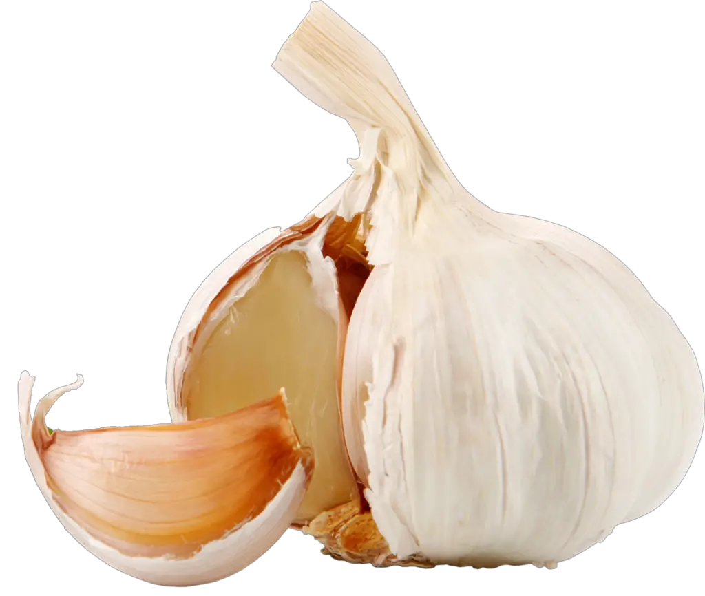 Fresh Garlic Png