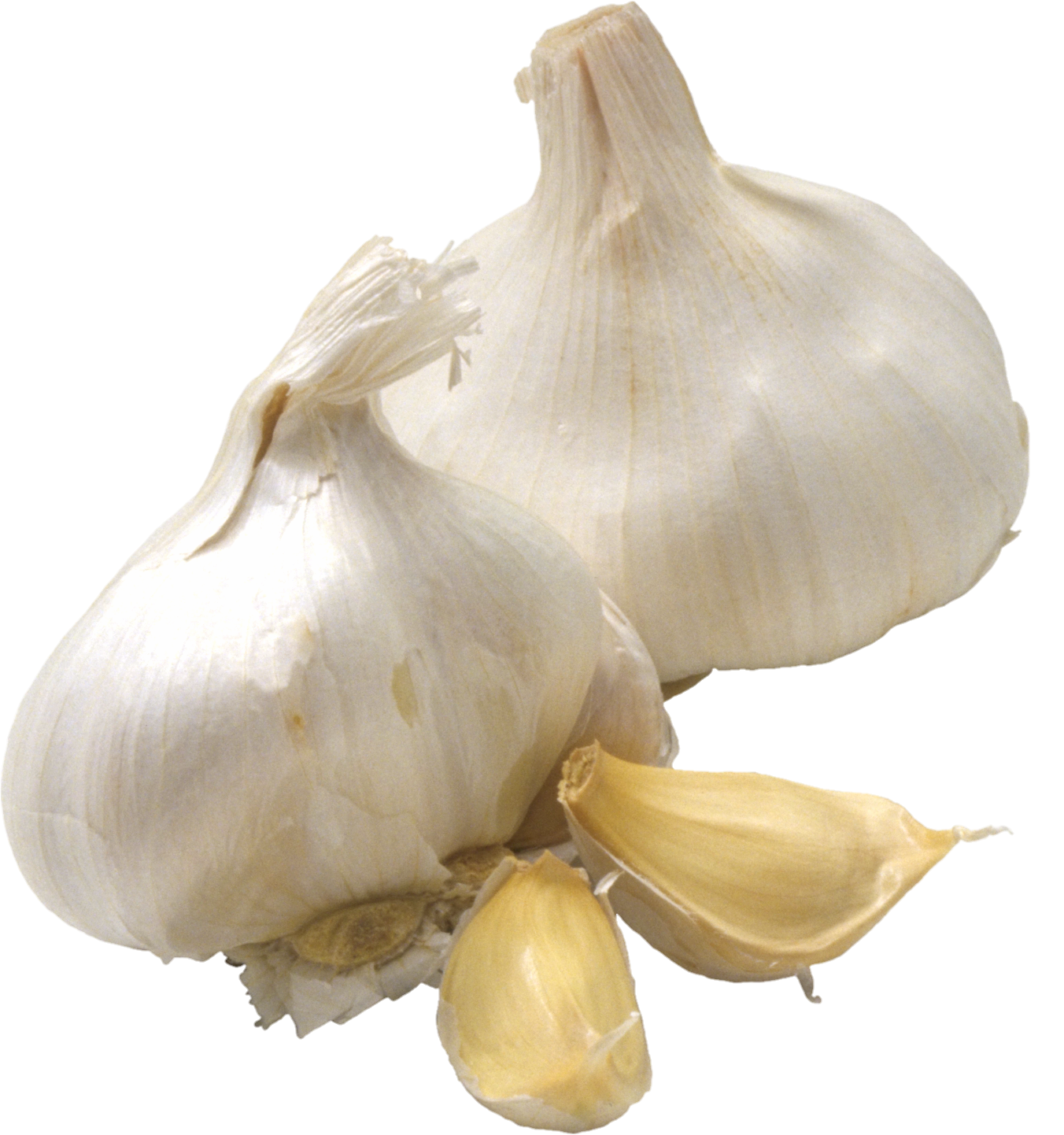 Garlic-33