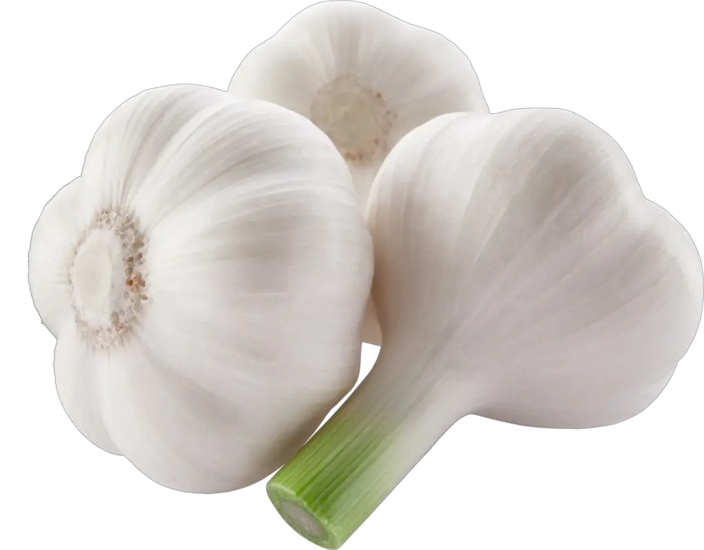 Fresh Garlic Png