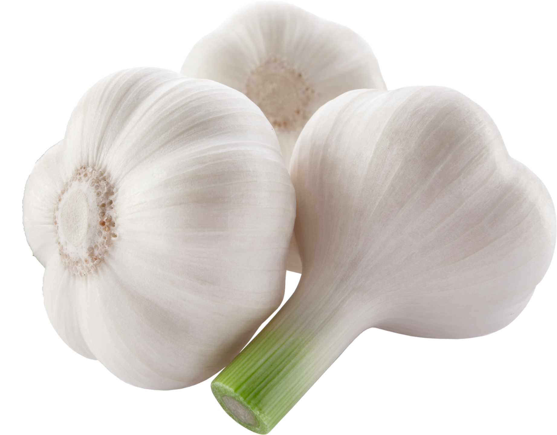 Garlic-4