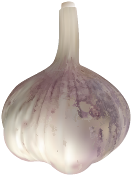 Garlic Clipart Png