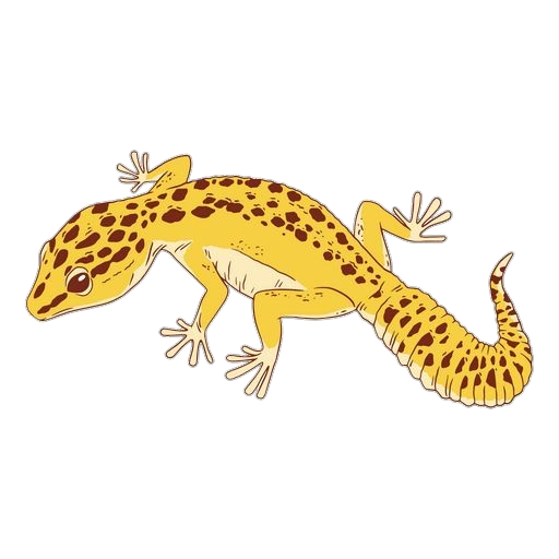 Desert Gecko clipart Png