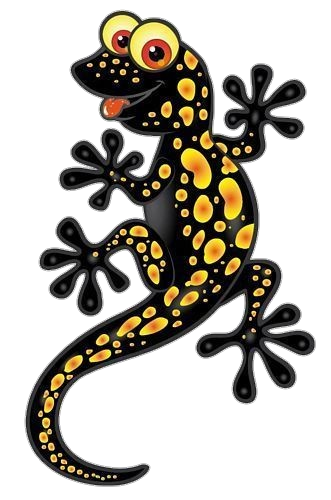Animated Gecko Png